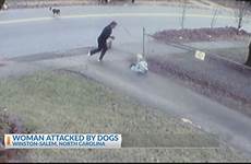 woman dogs attacked carolina north