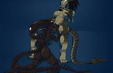 predator female xenomorph hentai alien nude vs yautja xeno lesbian e621 foundry vaginal