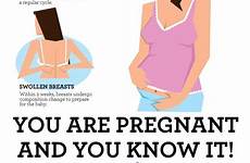 pregnancy menstruation conception bleeding ultrasound missed kehamilan jelas tanda blood swollen healthkart occur knowledge infographics maternity pms pregnancywalls sonogram