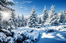 neve ucraina sta cambiando sole tragedia valanga dyatlov jews luogo sarebbe chiesto edicola nell luce bianchi brillano abeti maestosi