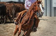 horse riding rodeo cowgirl western cowboy woman horseback girl reining equestrian pleasure action traditional sport animal sports gaucho barrel stallion