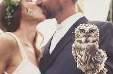 owl wedding bearer ring popsugar