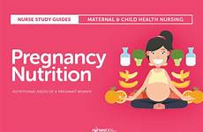 pregnancy nutritional pregnant nurseslabs