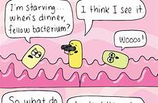 intestines beatrice biologist microbiology bacteria beatricebiologist puns