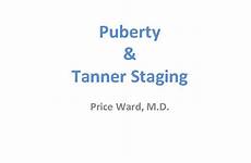 tanner staging puberty price
