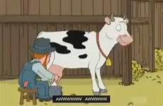 cow milk gif giphy gifs