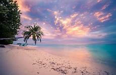 beach sunset tropical wallpaper relax wallpapers ocean palm horizon background sea backgrounds tree photography preview click