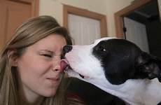 nose why dog does nibble