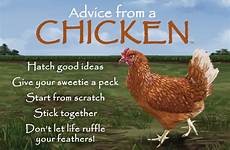 advice chicken quotes sayings funny life chickens word yourtruenature shop true nature choose board