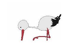 stork gif gifs bird tenor peck