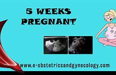 weeks pregnant pregnancy cramping symptoms twins ultrasound baby