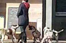 dog footage shows dogs shot unleashed animals woman were before shoppers hennessy breed father sell said each them