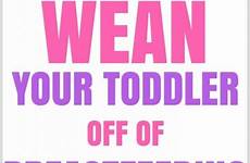 breastfeeding toddler weaning off wean ultimate guide learn read