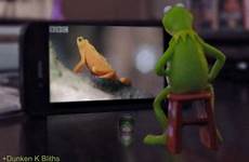 gif fap animated masturbation animation kermet kermit frog fapped ever work good funny