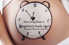 pregnancy long does take really last