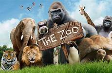 zoo comedy cbbc animals series logo