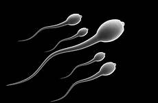 sperm abstract sex wallpaper egg wallpapers sexual swimming male cell abstraction bokeh life medical 4k healthy count man decline men