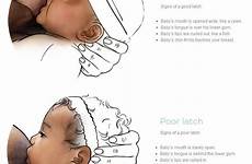 breastfeeding latch correct positions positioning tips good baby position latching breast breastfeed bad when outlining illustrations correctly lactation proper feeding