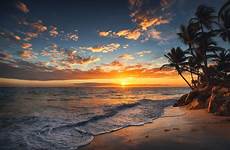 palm sunrise sandy hawaii wayfarer