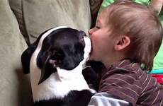 dog human kiss