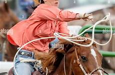 roping horseback rodeo cowgirl competing calf tie down alamy stock salida chaffee fair county event colorado usa