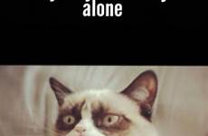 cat leave alone memes when grumpy funny choose board everybody want just