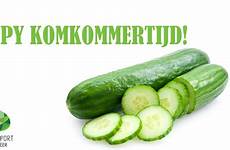 komkommertijd columns promotie juli