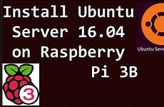 raspberry ubuntu benisnous addresses