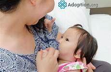 adoption adoptive breastfeed
