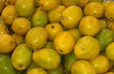 fruits fruit plum plums caribbean golden june puerto rico jobos apple frutas tropical trinidad food exotic guyana apples jamaica vegetables