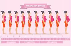 pregnancy week symptoms changes body during trimester change first do chart pregnant woman physical baby weeks stages after when mother