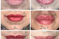 lip blushing aftercare mugeek vidalondon lipstick brow