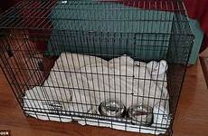 puppy bdsm play xena cage leash sleeping there woman am space small reason really than who other just do