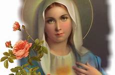 mary blessed virgin mother holy catholic st jesus maria necessary immaculate beautiful prayers thee who senhora nossa