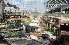 greenhouse abandoned sits globalnews struggling afloat family puchala karlie lethbridge