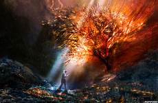 burning moses feu fuego exodus feuer wallpaperaccess commandments 20x 2k 5k