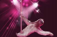 sloth stripper