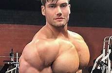 pecs powerful deviantart muscular hunks builtbytallsteve biceps guys buff bodybuilders