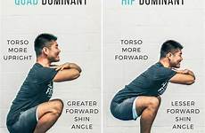 squat dominant squats gymguider achievers