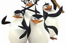 madagascar penguins kowalski skipper rico private pinguinos los penguin transparent fanpop comic vs dreamworks con wallpaper movie background fu croods