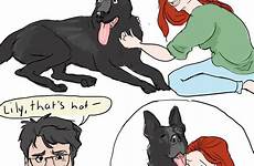 potter harry comics sirius fanart tumblr marauders lily james fan padfoot fanfiction love funny jokes dog fandom choose board weasley