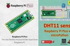 dht11 raspberry pico pi