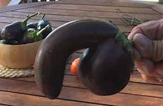 eggplant penis shaped glad auctioning just trademe re thrillist