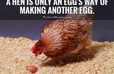 quotes chicken egg quote hen sayings funny chickens hens cooking another making way only eggs quotesgram quotations animal kippen