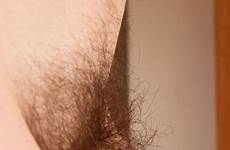 hairy bushes muff