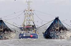 fishing fish trawler catch boat vessel nets bycatch trawlers big huge fishermen industrial seafood do caught