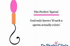 sperm morphology normal semen analysis test abnormal its head meaning chennai describe appearing seen under