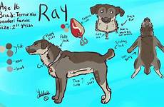 reference ray