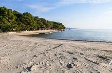 pine beach pakoštane zadar beachrex dalmatia croatia pakostane