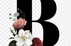 font letter floral flower alphabet fonts elegant wallpaper lettering transparent classic letters rose rawpixel monogram visit choose board